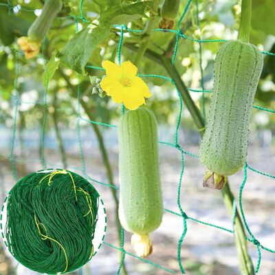 AULEDIO Rete Rampicante Per Piante 1,8 M × 2,7 M, Rete In Nylon Per Piante Rampicanti, Rete Da Giardino Per Supporto, Per Raccolta Cetrioli, Verdure, Pomodori AULEDIO Rete Rampicante Per Piante 1,8 M × 2,7 M, Rete In Nylon Per Piante Rampicanti, Rete Da Giardino Per Supporto, Per Raccolta Cetrioli, Verdure, Pomodori