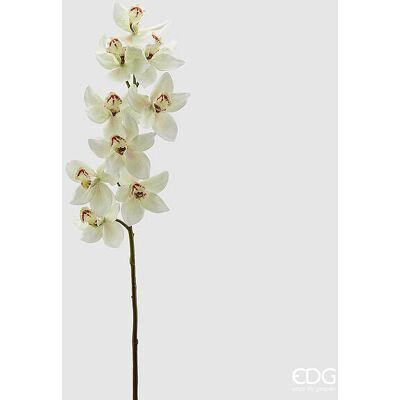 EDG Enzo De Gasperi Orchidea Cymbidium H 90 Cm Bianco Verde EDG Enzo De Gasperi Orchidea Cymbidium H 90 Cm Bianco Verde