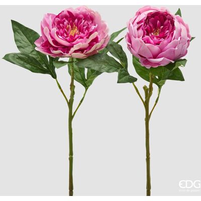 EDG Ramo Peonia Con Foglie 2 Colori Assortiti H 58 EDG Ramo Peonia Con Foglie 2 Colori Assortiti H 58