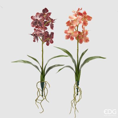 EDG Enzo De Gasperi Cespuglio Orchidea Vanda Artificiale Con Foglio H 70 Cm Ass. Orange Mix 1 Pz EDG Enzo De Gasperi Cespuglio Orchidea Vanda Artificiale Con Foglio H 70 Cm Ass. Orange Mix 1 Pz