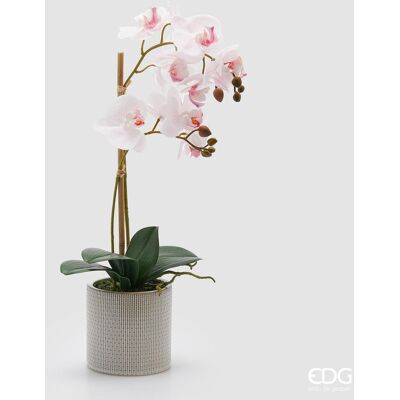 EDG Enzo De Gasperi Orchidea Phalaenopsis X2 Con Foglie E Vaso H 51 Cm Pianta Artificiale Rosa Chiaro EDG Enzo De Gasperi Orchidea Phalaenopsis X2 Con Foglie E Vaso H 51 Cm Pianta Artificiale Rosa Chiaro
