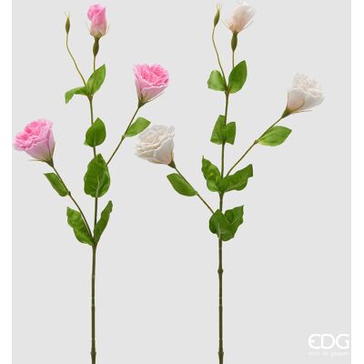 EDG Enzo De Gasperi Lisiantus Ramo Con Foglie Ass. H 71 Cm D 10 Cm Pianta Artificiale Colore Bianco O Rosa1 Pz EDG Enzo De Gasperi Lisiantus Ramo Con Foglie Ass. H 71 Cm D 10 Cm Pianta Artificiale Colore Bianco O Rosa1 Pz