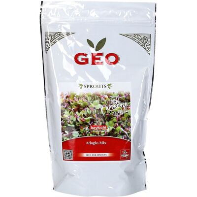 ALTRO Miscuglio Adagio Bio Per Germogli Geo 400 Gr ALTRO Miscuglio Adagio Bio Per Germogli Geo 400 Gr