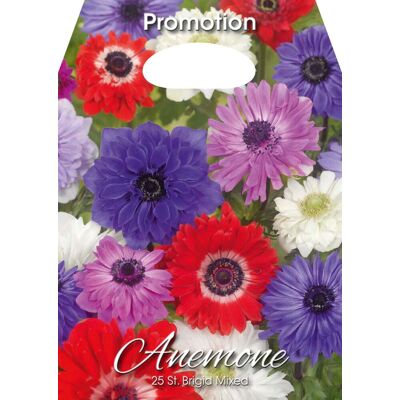 ALTRO Anemone St. Brigid Mixed (confezione Da 25 Bulbi) ALTRO Anemone St. Brigid Mixed (confezione Da 25 Bulbi)