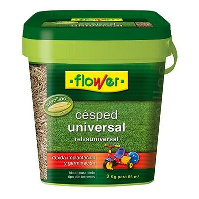 FLOWER Semi Di Erba Universale Di Fiori, Cubo 2 Kg FLOWER Semi Di Erba Universale Di Fiori, Cubo 2 Kg