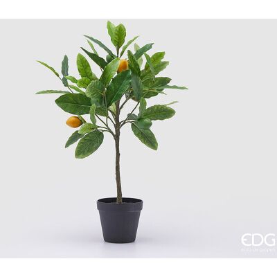 EDG Enzo De Gasperi Pianta Artificiale Di Limoni Con Vaso H 56 Cm Green Mix EDG Enzo De Gasperi Pianta Artificiale Di Limoni Con Vaso H 56 Cm Green Mix