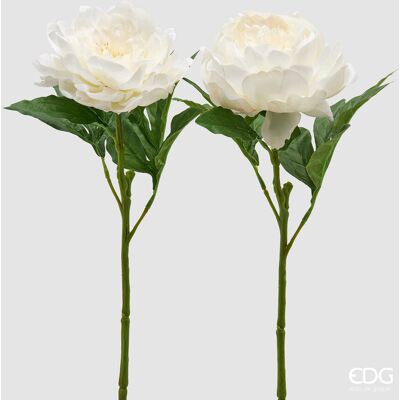 EDG Enzo De Gasperi Peonia Ramo Con Foglie Ass. H 58 Cm Pianta Artificiale Bianco 1 Pz EDG Enzo De Gasperi Peonia Ramo Con Foglie Ass. H 58 Cm Pianta Artificiale Bianco 1 Pz