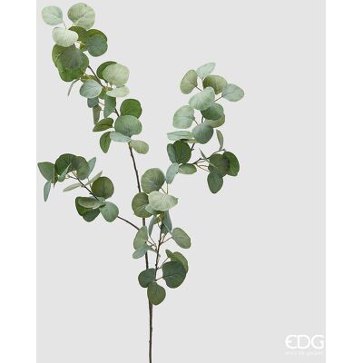 EDG Enzo De Gasperi Ramo Eucalipto H 110 Cm Verde EDG Enzo De Gasperi Ramo Eucalipto H 110 Cm Verde