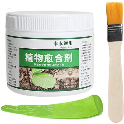 AULEDIO Mastice Cicatrizzante Alberi 500g, Balsamo Potatura Con Pennello, Protezione Tronco, Verde AULEDIO Mastice Cicatrizzante Alberi 500g, Balsamo Potatura Con Pennello, Protezione Tronco, Verde
