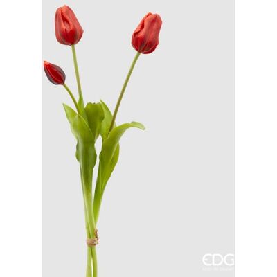 EDG Enzo De Gasperi Tulipano Gommato Olis 3 Rami H 48 Cm Rosso 1 Cf EDG Enzo De Gasperi Tulipano Gommato Olis 3 Rami H 48 Cm Rosso 1 Cf