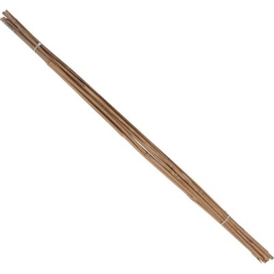 Sostegni per piante Floraworld - Ø 8-10mm 120cm Set da 10 Sostegni per piante Floraworld - Ø 8-10mm 120cm Set da 10