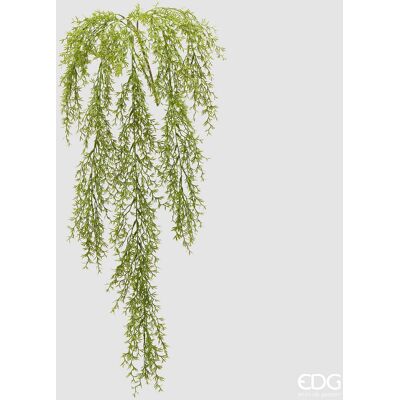 EDG Enzo De Gasperi Pianta Artificiale Erba Palustre Cadente H 106 Cm Colore Sage – Pianta Decorativa Realistica Design Moderno EDG Enzo De Gasperi Pianta Artificiale Erba Palustre Cadente H 106 Cm Colore Sage – Pianta Decorativa Realistica Design Moderno