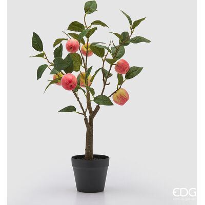 EDG Enzo De Gasperi Melo Con Vaso E Foglie X8 Pianta Artificiale H 60 Cm Rosso EDG Enzo De Gasperi Melo Con Vaso E Foglie X8 Pianta Artificiale H 60 Cm Rosso