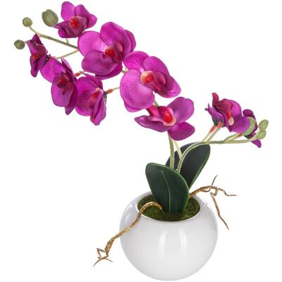 ATMOSPHERA Orchidea Artificiale In Ceramica H25cm - Fushia - Créateur D'Intérieur ATMOSPHERA Orchidea Artificiale In Ceramica H25cm - Fushia - Créateur D'Intérieur
