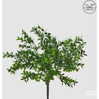 EDG Enzo De Gasperi Bosso Cespuglio Anti-uv H 30 Cm Pianta Artificiale Verde EDG Enzo De Gasperi Bosso Cespuglio Anti-uv H 30 Cm Pianta Artificiale Verde