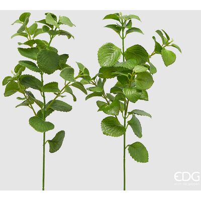 EDG Enzo De Gasperi Melissa Ramo Ass. H 38 Cm Pianta Artificiale Verde 1 Pz EDG Enzo De Gasperi Melissa Ramo Ass. H 38 Cm Pianta Artificiale Verde 1 Pz