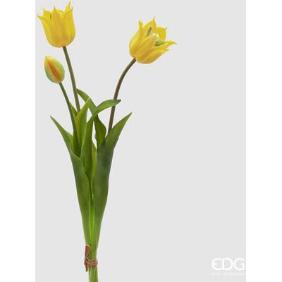 EDG Enzo De Gasperi Tulipano Gommato Olis 3 Rami H 48 Cm Giallo 1 Cf EDG Enzo De Gasperi Tulipano Gommato Olis 3 Rami H 48 Cm Giallo 1 Cf