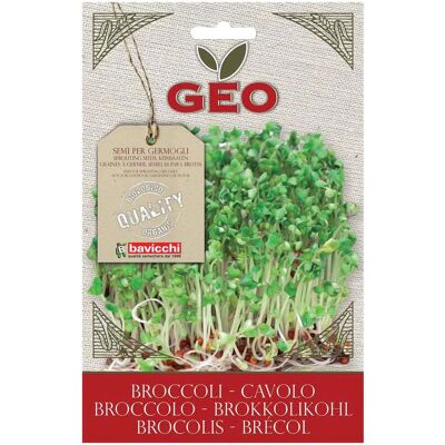 ALTRO Semi Di Cavolo Broccolo Per Germogli 300g ALTRO Semi Di Cavolo Broccolo Per Germogli 300g
