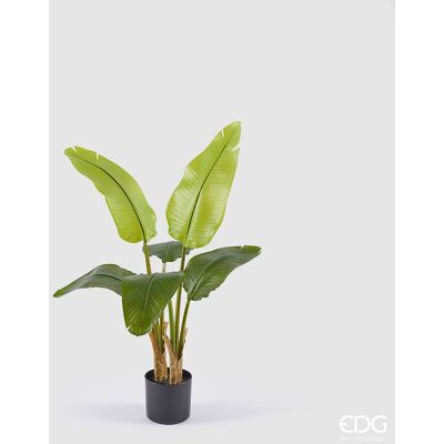 EDG Enzo De Gasperi Banano Con Vaso Pianta Artificiale H 90 Cm Verde EDG Enzo De Gasperi Banano Con Vaso Pianta Artificiale H 90 Cm Verde