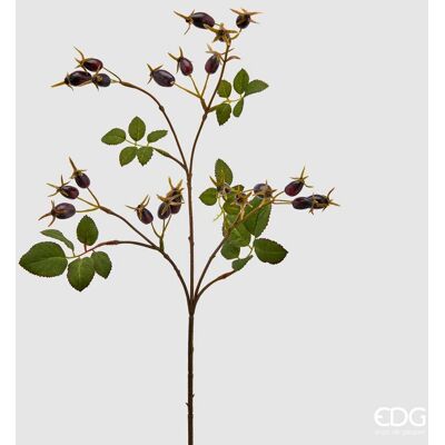 EDG Enzo De Gasperi Rosa Canina Glory Ramo H 68 Cm Con Bacche Burgundy EDG Enzo De Gasperi Rosa Canina Glory Ramo H 68 Cm Con Bacche Burgundy