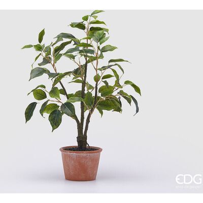 EDG Enzo De Gasperi Ficus Con Vaso Artificiale H 51 Cm Green EDG Enzo De Gasperi Ficus Con Vaso Artificiale H 51 Cm Green