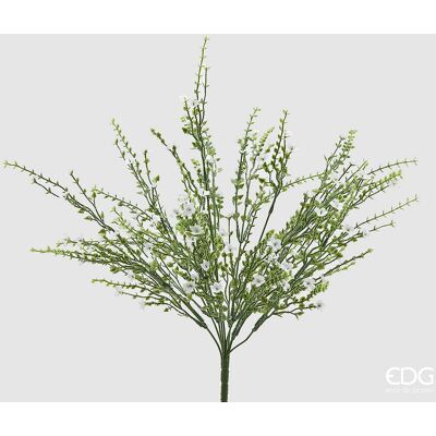 EDG Enzo De Gasperi Ginestra Cespuglio Pianta Artificiale H 55 Cm Bianco EDG Enzo De Gasperi Ginestra Cespuglio Pianta Artificiale H 55 Cm Bianco