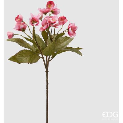 EDG Enzo De Gasperi Ramo Elleboro H 57 Cm Rosa Pesca EDG Enzo De Gasperi Ramo Elleboro H 57 Cm Rosa Pesca