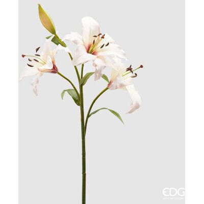 EDG Enzo De Gasperi Giglio Rex 3 Rami H 105 Cm Ivory EDG Enzo De Gasperi Giglio Rex 3 Rami H 105 Cm Ivory