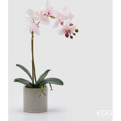 EDG Enzo De Gasperi Orchidea Phalaenopsis Con Foglie E Vaso H 47 Cm Pianta Artificiale Bianco Rosa Chiaro EDG Enzo De Gasperi Orchidea Phalaenopsis Con Foglie E Vaso H 47 Cm Pianta Artificiale Bianco Rosa Chiaro