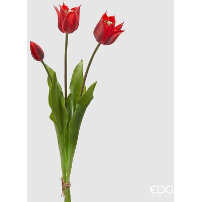 EDG Enzo De Gasperi Tulipano Gommato Olis 3 Rami H 48 Cm Rosso 1 Cf EDG Enzo De Gasperi Tulipano Gommato Olis 3 Rami H 48 Cm Rosso 1 Cf