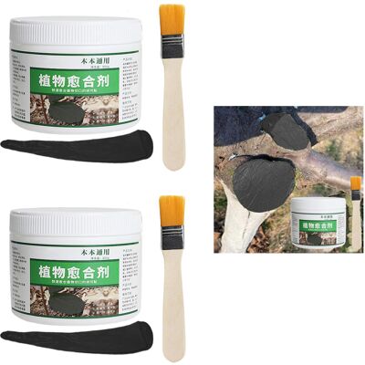 AULEDIO 2x Mastice Cicatrizzante Alberi 500g, Balsamo Potatura Con Pennello, Nero AULEDIO 2x Mastice Cicatrizzante Alberi 500g, Balsamo Potatura Con Pennello, Nero