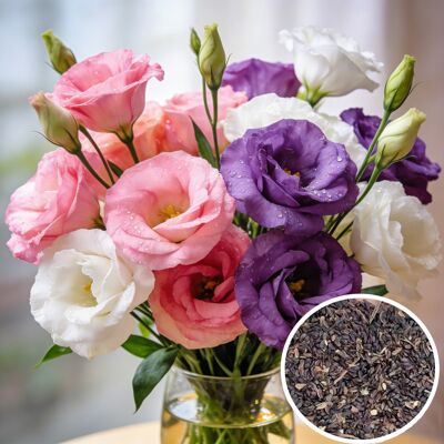 AULEDIO 3000 Semi Di Lisianthus Colorati, Adatti Alla Coltivazione All'aperto, Ideali Come Fiori Recisi E Per Decorare Giardino, Balcone E Terrazza AULEDIO 3000 Semi Di Lisianthus Colorati, Adatti Alla Coltivazione All'aperto, Ideali Come Fiori Recisi E Per Decorare Giardino, Balcone E Terrazza