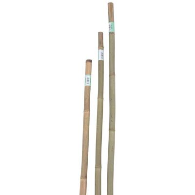 VERDEMAX - Canna bamboo h76 - 8-10 mm - Tutore per piante VERDEMAX - Canna bamboo h76 - 8-10 mm - Tutore per piante