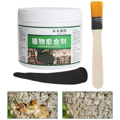 AULEDIO Mastice Cicatrizzante Alberi 500g, Balsamo Potatura Con Pennello, Protezione Tronco, Nero AULEDIO Mastice Cicatrizzante Alberi 500g, Balsamo Potatura Con Pennello, Protezione Tronco, Nero