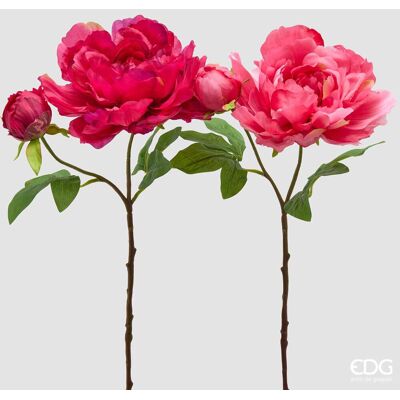 EDG Ramo Peonia Real Con Bocciolo Fuscia Scuro H 54 EDG Ramo Peonia Real Con Bocciolo Fuscia Scuro H 54