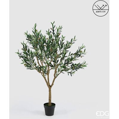 EDG Enzo De Gasperi Olivo Con Vaso H 157 Cm Pianta Artificiale Anti Uv Verde EDG Enzo De Gasperi Olivo Con Vaso H 157 Cm Pianta Artificiale Anti Uv Verde