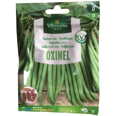 VILMORIN Semi Ebrei Baja Oxinel Oltre 30 Gr. VILMORIN Semi Ebrei Baja Oxinel Oltre 30 Gr.