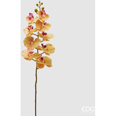 EDG Enzo De Gasperi Orchidea Phalaenopsis Ramo Artificiale H 94 Cm Yellow EDG Enzo De Gasperi Orchidea Phalaenopsis Ramo Artificiale H 94 Cm Yellow