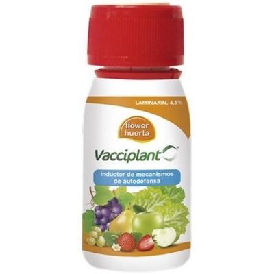 FLOWER Vaccicianti Incodefens Di Autodefiori Floreali, Pacchetto 45cc FLOWER Vaccicianti Incodefens Di Autodefiori Floreali, Pacchetto 45cc