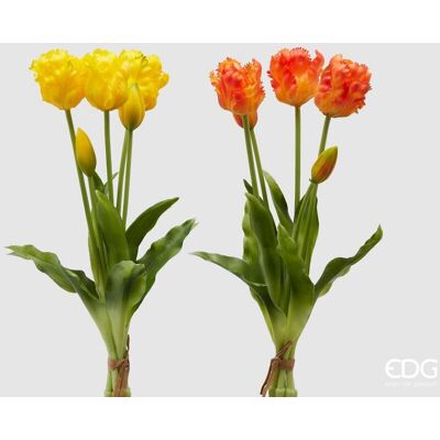 EDG Enzo De Gasperi Bouquet 5 Tulipani Parrot Olis Ass. H 40 Cm Yellow Orange 1 Pz EDG Enzo De Gasperi Bouquet 5 Tulipani Parrot Olis Ass. H 40 Cm Yellow Orange 1 Pz