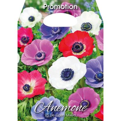 ALTRO Anemone De Caen Mixed (confezione Da 25 Bulbi) ALTRO Anemone De Caen Mixed (confezione Da 25 Bulbi)