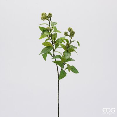 EDG Enzo De Gasperi Viburno Ramo H 63 Cm Pianta Artificiale Verde EDG Enzo De Gasperi Viburno Ramo H 63 Cm Pianta Artificiale Verde