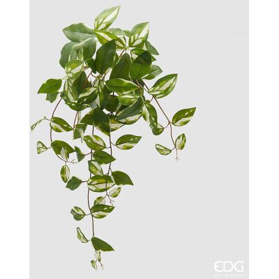 EDG Enzo De Gasperi Potus Cespuglio H 60 Cm Pianta Artificiale Bianco Verde EDG Enzo De Gasperi Potus Cespuglio H 60 Cm Pianta Artificiale Bianco Verde