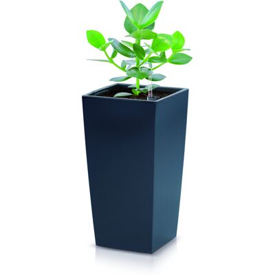 Prosperplast Urbi 26.6L Vaso Quadrato - Contenitore da Giardino in Plastica Prosperplast Urbi 26.6L Vaso Quadrato - Contenitore da Giardino in Plastica