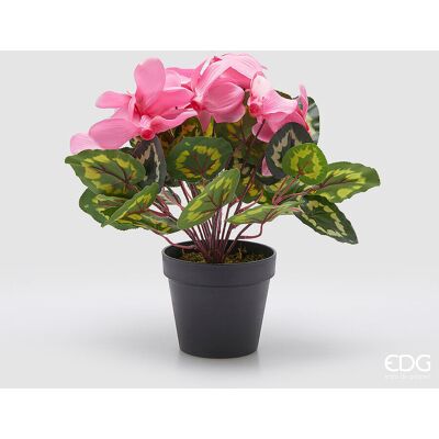EDG Enzo De Gasperi Pianta Artificiale Ciclamino Con Foglie E Vaso H 32 Cm Pink – Pianta Decorativa Realistica Design Moderno EDG Enzo De Gasperi Pianta Artificiale Ciclamino Con Foglie E Vaso H 32 Cm Pink – Pianta Decorativa Realistica Design Moderno