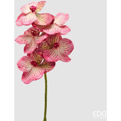 EDG Enzo De Gasperi Orchidea Vanda Ramo H 65 Cm Pianta Artificiale Rosa EDG Enzo De Gasperi Orchidea Vanda Ramo H 65 Cm Pianta Artificiale Rosa