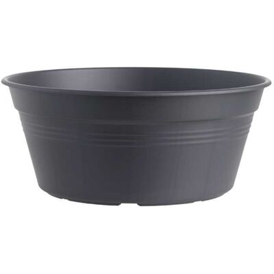 Elho Vaso Per Bulbi Green Basics Bowl 38cm Living Black Elho Vaso Per Bulbi Green Basics Bowl 38cm Living Black