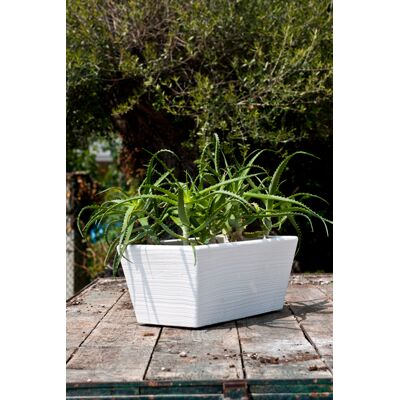 ELBI - Vaso Cassetta Fioriera In Resina Girasole 80 Cm. Colore: Bianco ELBI - Vaso Cassetta Fioriera In Resina Girasole 80 Cm. Colore: Bianco