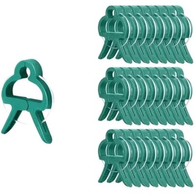 AULEDIO 50 Bastoncini Per Piante Con Clip Stabili, Clip Riutilizzabili Per Piante Da Giardino, Per Piante Piccole AULEDIO 50 Bastoncini Per Piante Con Clip Stabili, Clip Riutilizzabili Per Piante Da Giardino, Per Piante Piccole