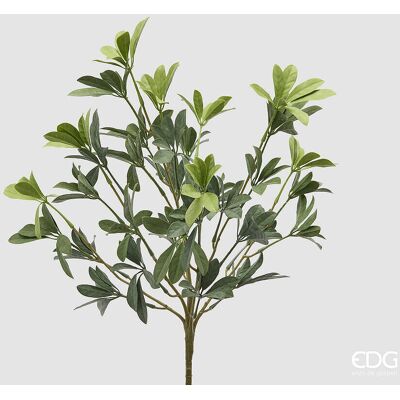 EDG Enzo De Gasperi Pianta Artificiale Schefflera Cespuglio H 49 Cm Green Mix – Pianta Decorativa Realistica Design Moderno EDG Enzo De Gasperi Pianta Artificiale Schefflera Cespuglio H 49 Cm Green Mix – Pianta Decorativa Realistica Design Moderno